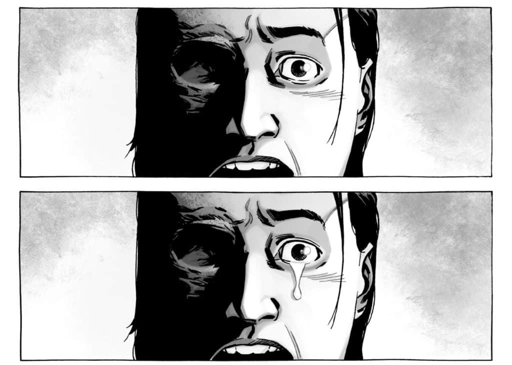The Walking Dead 192 We Are NOT The Walking Dead Comic Watch