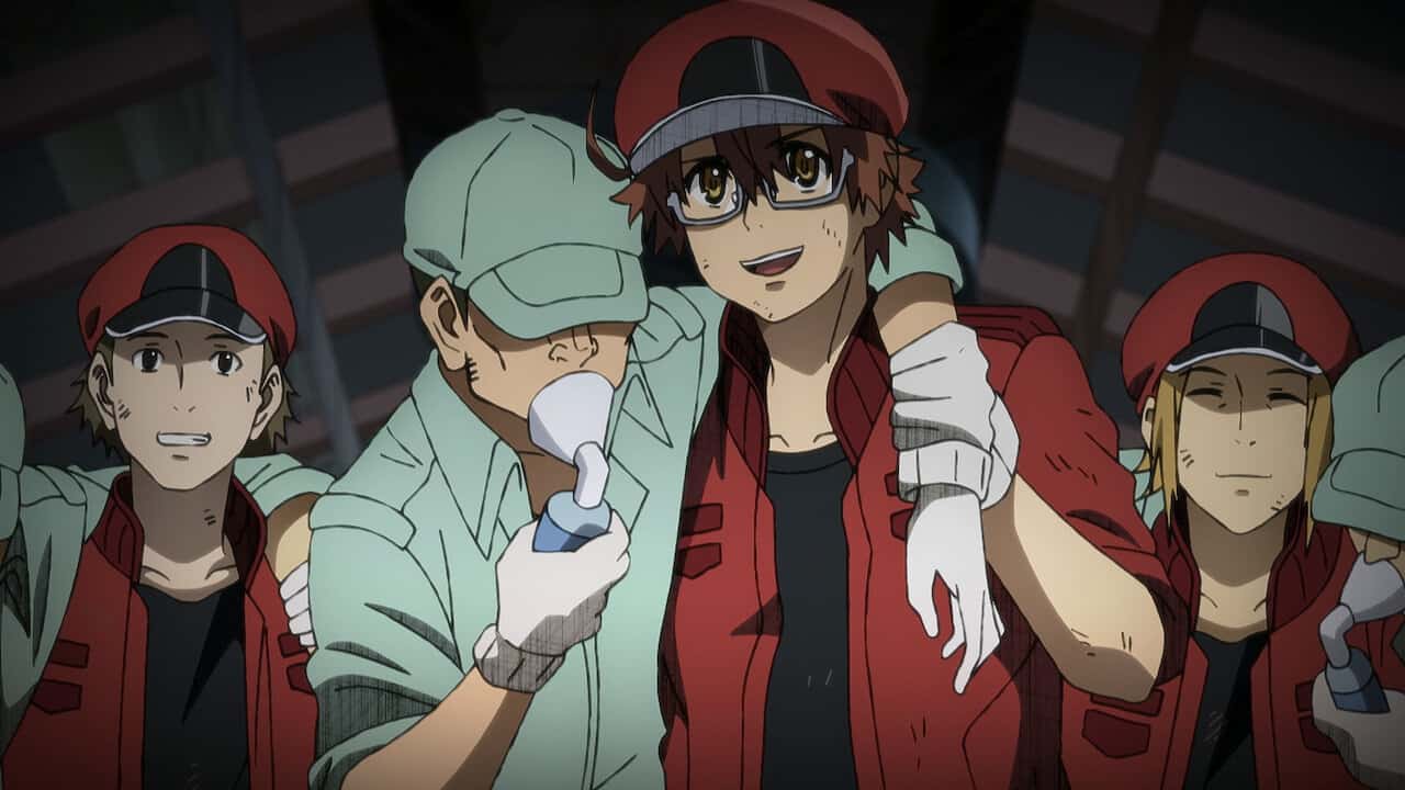 Review: Cells at Work! – I Watched an Anime