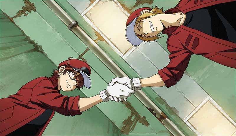 My Shiny Toy Robots: Anime REVIEW: Cells at Work! CODE BLACK